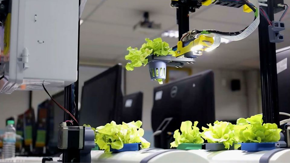 Hydroponics Monitoring and Detection System